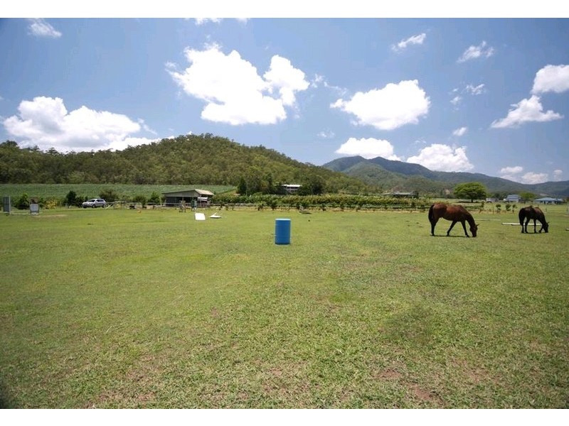 165 Maitland Road, Gordonvale QLD 4865