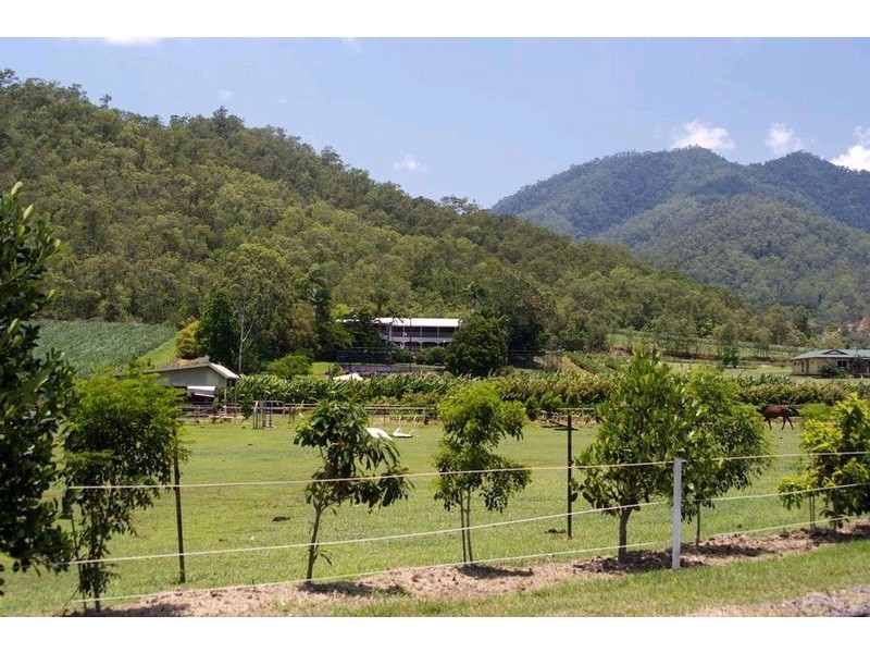 165 Maitland Road, Gordonvale QLD 4865