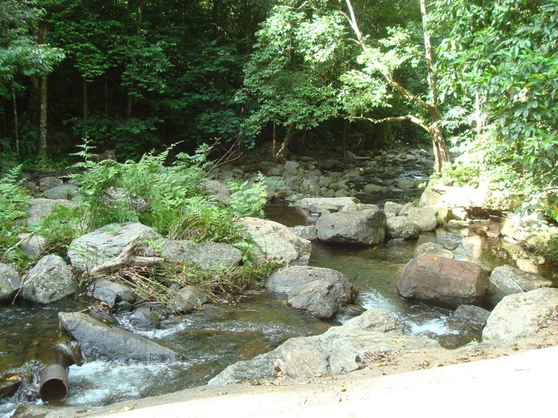 1 Cyathea Close, Kamerunga QLD 4870