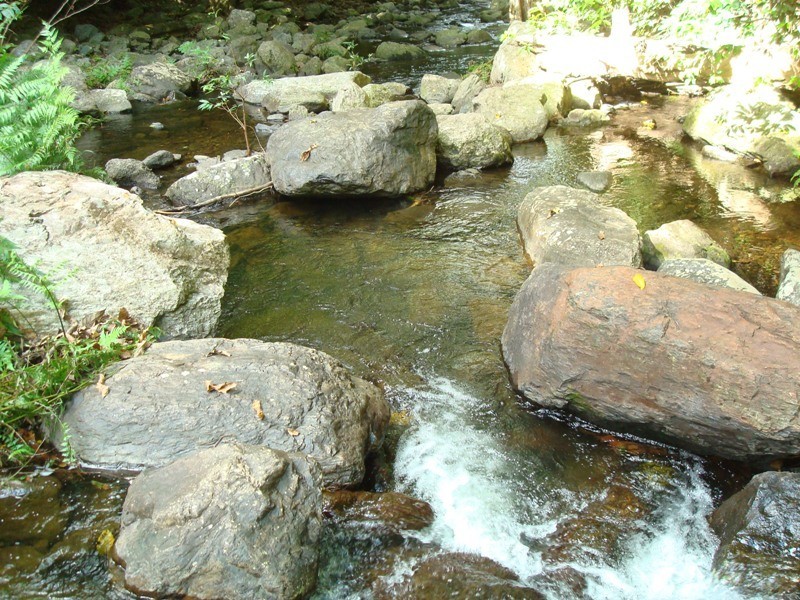 1 Cyathea Close, Kamerunga QLD 4870