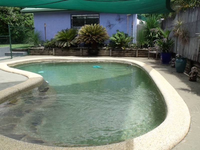 9 Blackbird Close, Bentley Park QLD 4869