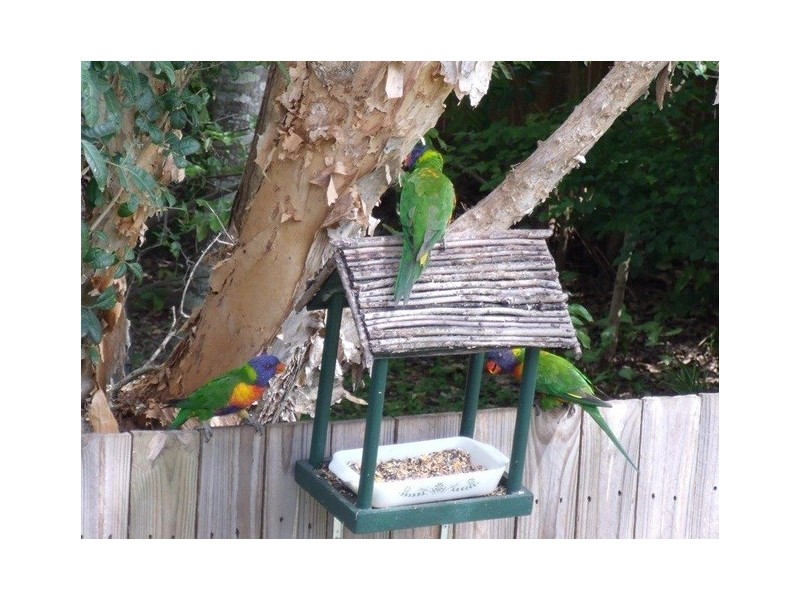 15 Mary Street East, Mango Hill QLD 4509