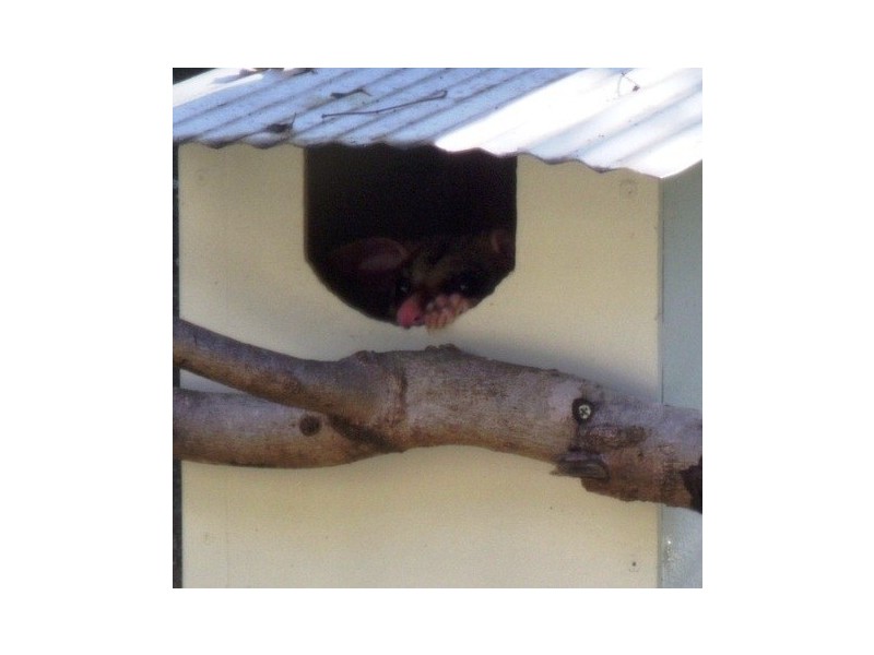 15 Mary Street East, Mango Hill QLD 4509