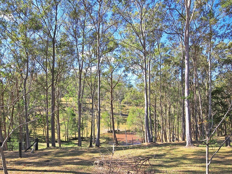 29 Roberts Road, Narangba QLD 4504