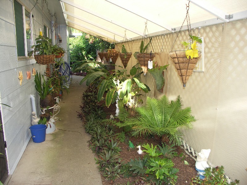 20 Ettie Street, Redcliffe QLD 4020