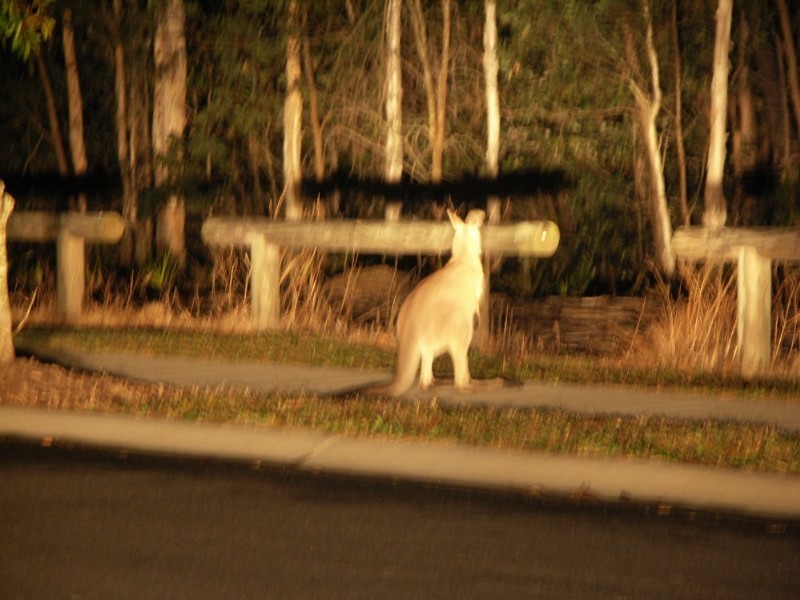 100 North Ridge Circuit, Deception Bay QLD 4508