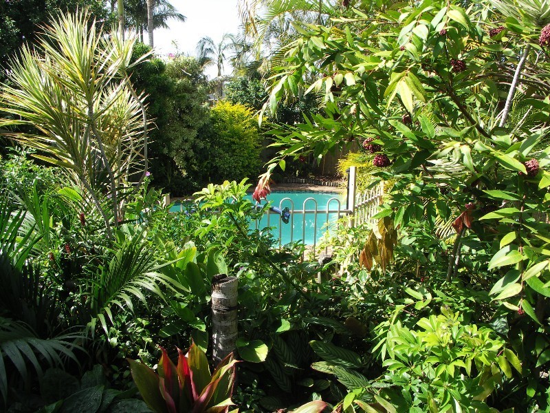 53 Henzell Street, Kippa-ring QLD 4021