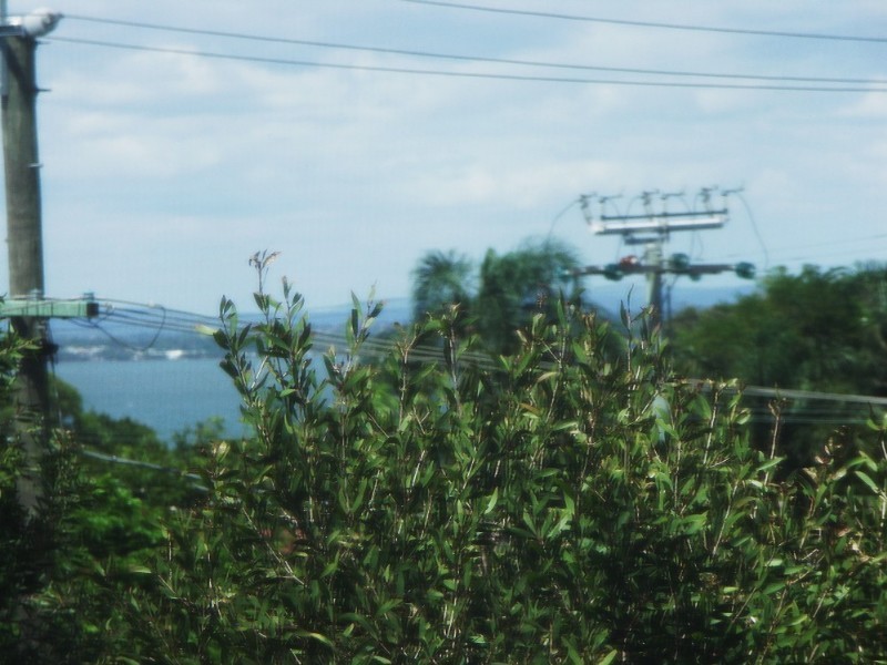 8/10 Caroline Street, Woody Point QLD 4019