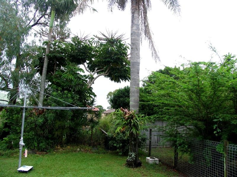 17 Ettie Street, Redcliffe QLD 4020