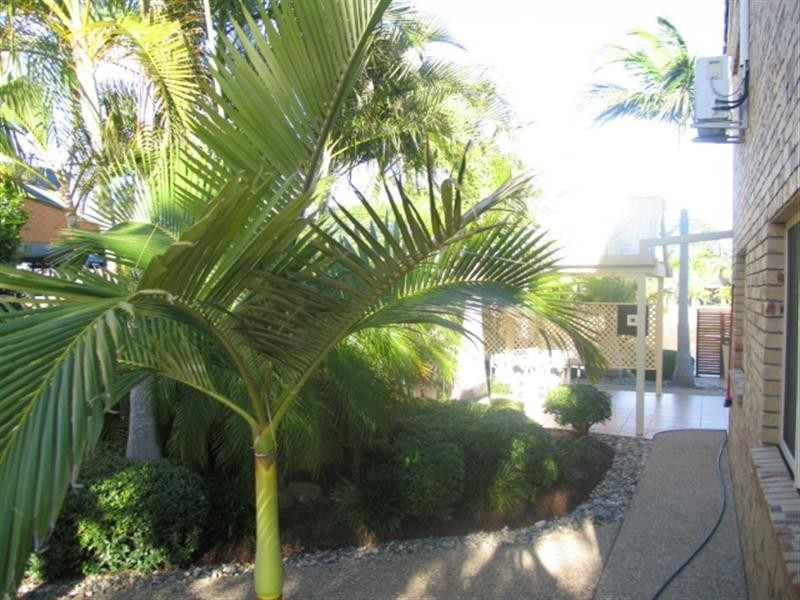 169 Griffith Road, Newport QLD 4020