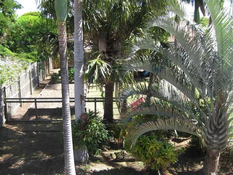 29 Albert  Street, Margate QLD 4019