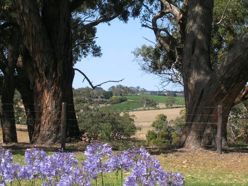 RSD 1450 Meadows Road, Mclaren Vale SA 5171