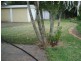127 Jacaranda St, North Booval QLD 4304