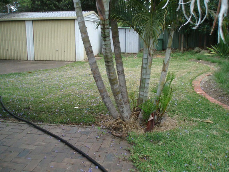 127 Jacaranda St, North Booval QLD 4304