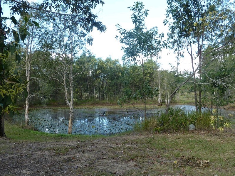 28 Pakenham Street, Greenbank QLD 4124