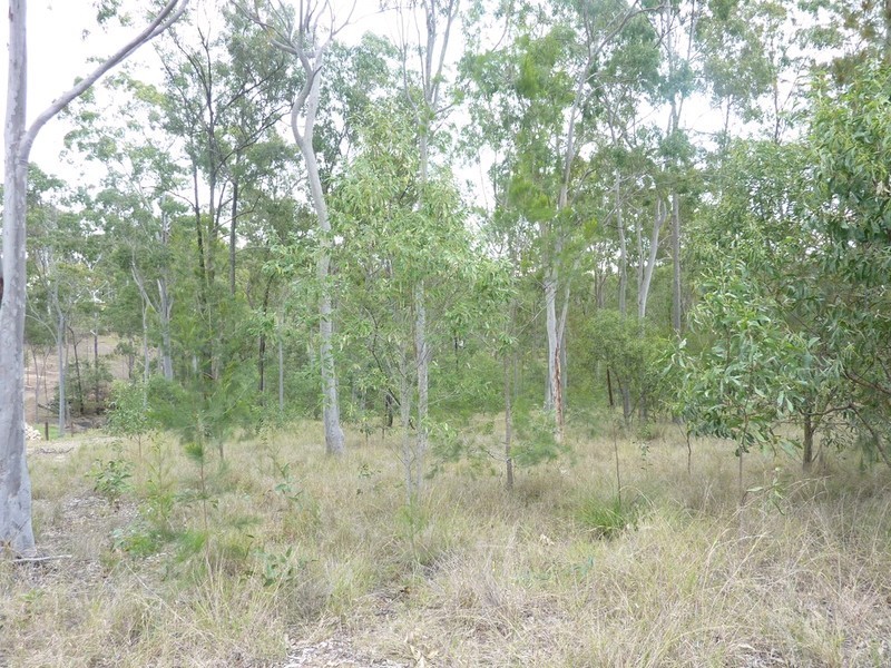 119 Huntingdale Drive, Greenbank QLD 4124