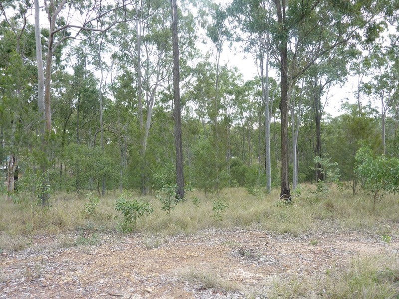 119 Huntingdale Drive, Greenbank QLD 4124