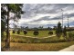 44 Atlantic Drive, Springfield Lakes QLD 4300
