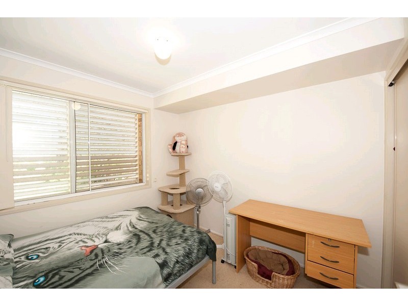 3 Windflower Place, Springfield QLD 4300