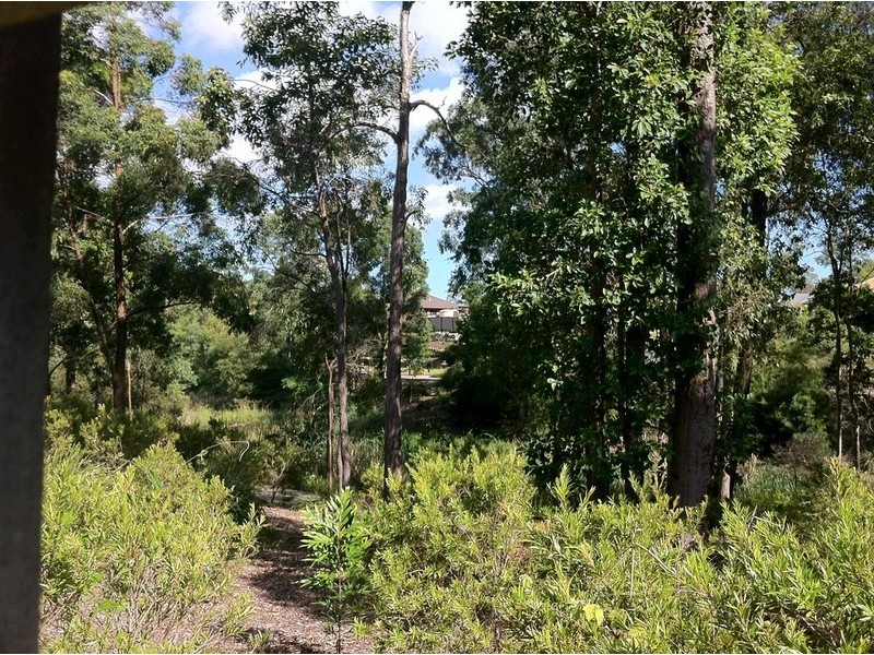 29 Burlington Terrace, Springfield Lakes QLD 4300