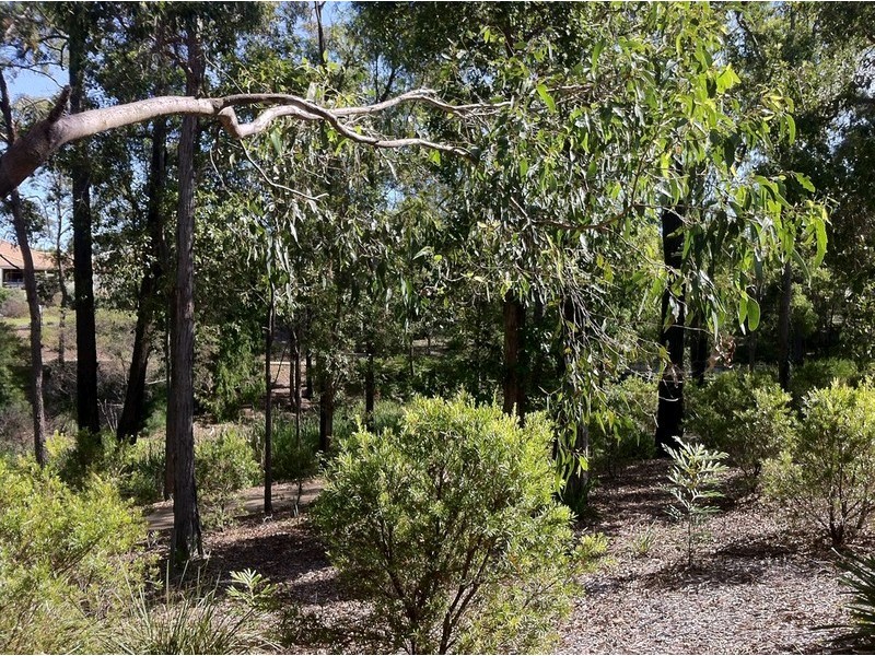 29 Burlington Terrace, Springfield Lakes QLD 4300