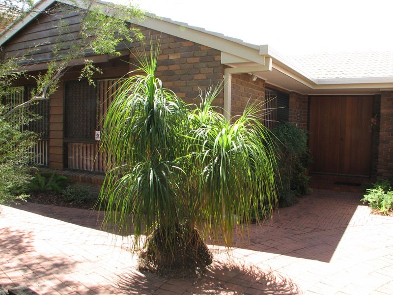 5 Romeo Court, Sunnybank Hills QLD 4109