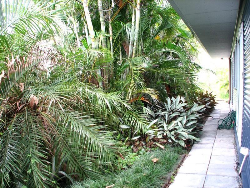 90 Gardiner Road, Waterford QLD 4133