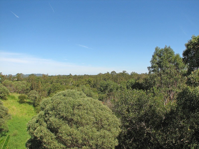 47 Watercress Avenue, Cornubia QLD 4130