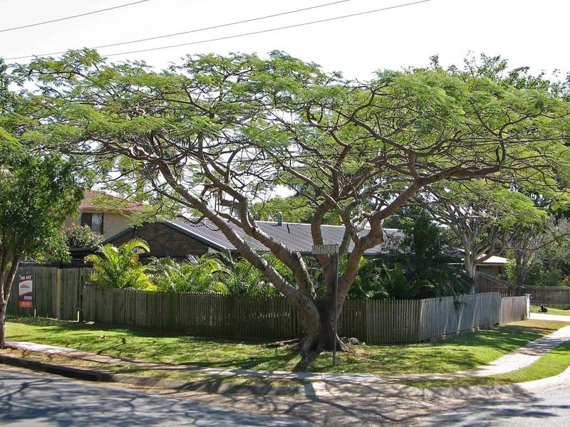 2 Coultis Street, Sunnybank QLD 4109