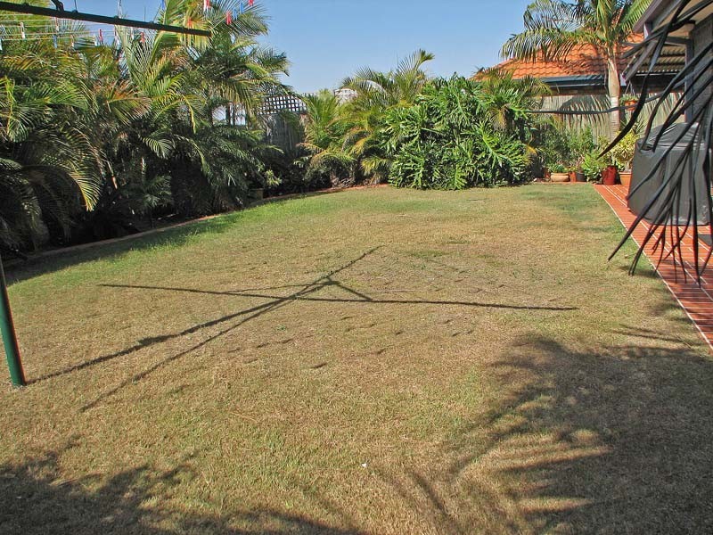 153 Gumtree Street, Runcorn QLD 4113