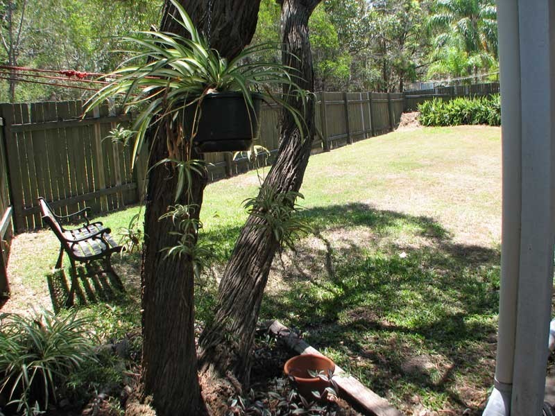 67 Baroona Street, Rochedale South QLD 4123