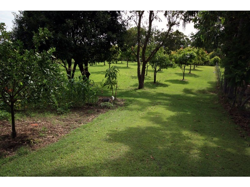 16 Cobalt Street, Bethania QLD 4205
