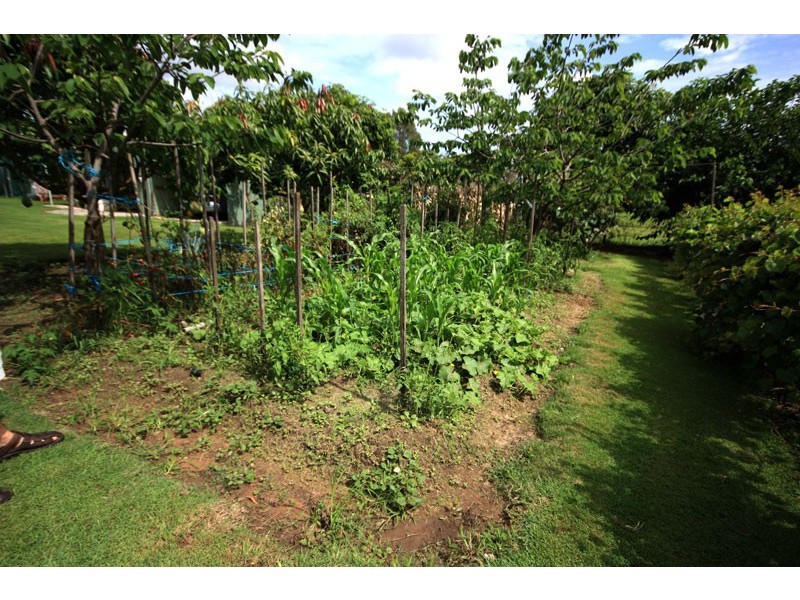 16 Cobalt Street, Bethania QLD 4205