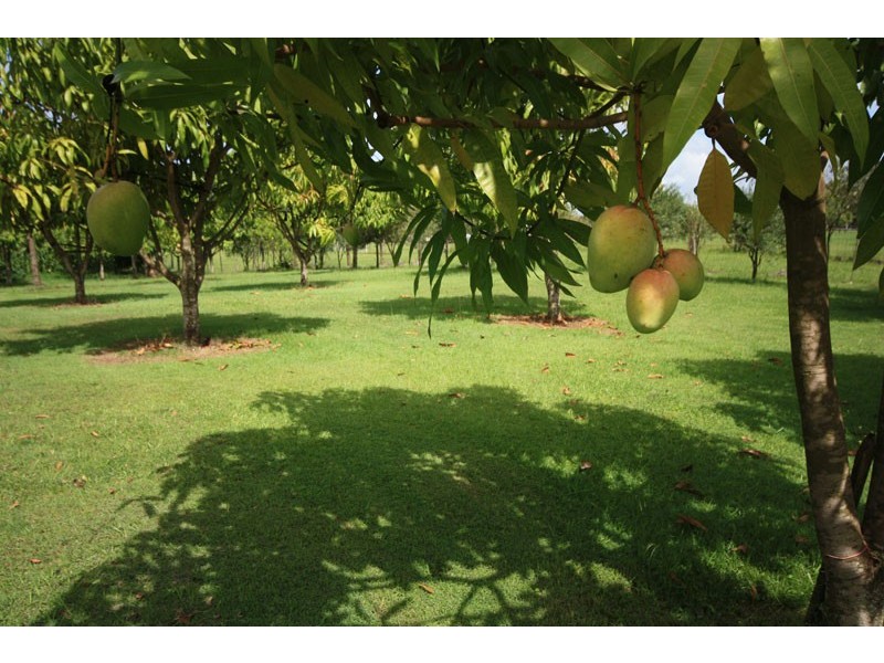 16 Cobalt Street, Bethania QLD 4205