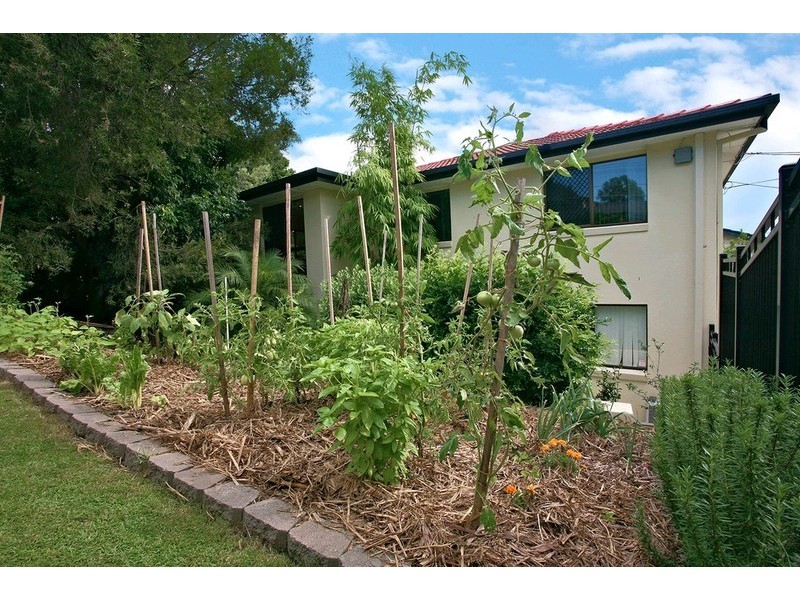 25 Jacqueline Avenue, Springwood QLD 4127