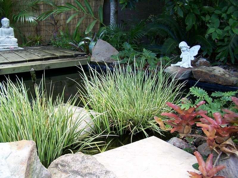 7 Doull Place, Thornlands QLD 4164