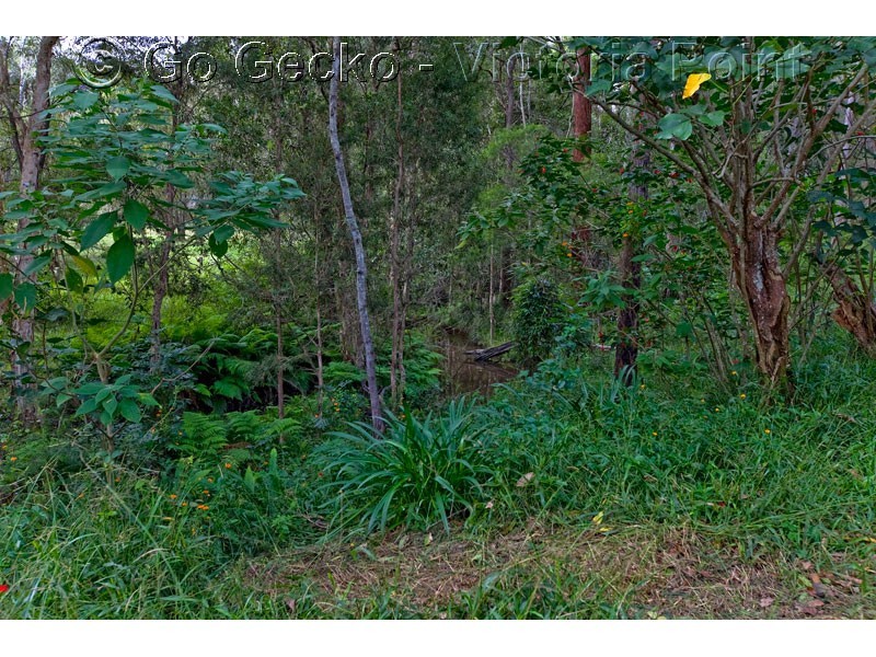 87 Henderson Road, Sheldon QLD 4157
