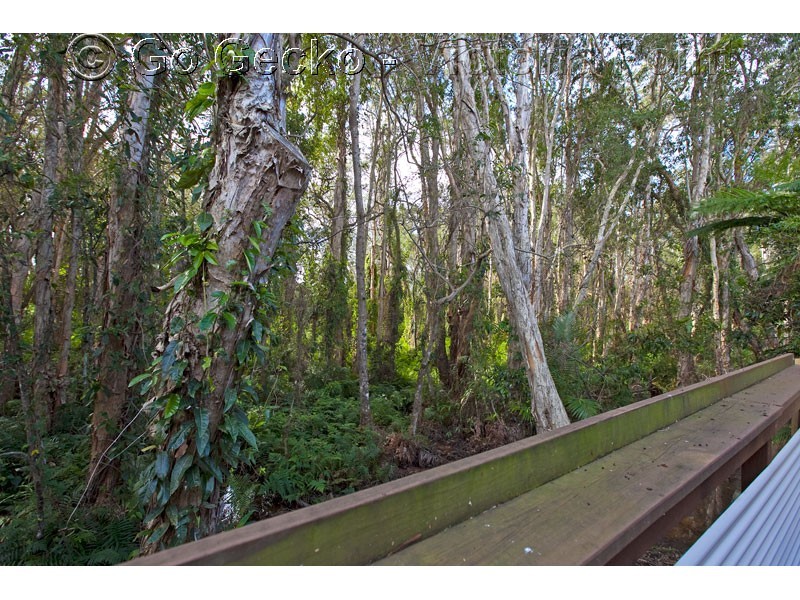 33/218 Queen Street, Cleveland QLD 4163