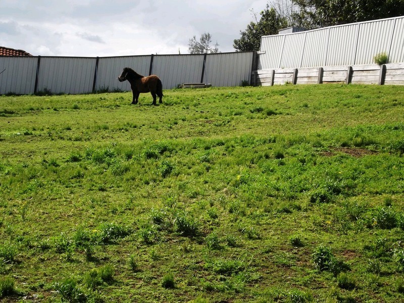 9 Robert Close, Rutherford NSW 2320