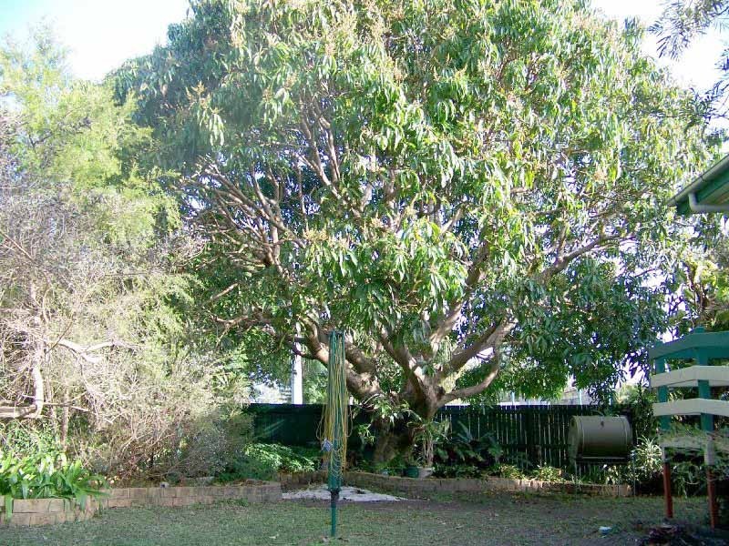43 Claymeade Street, Wynnum QLD 4178