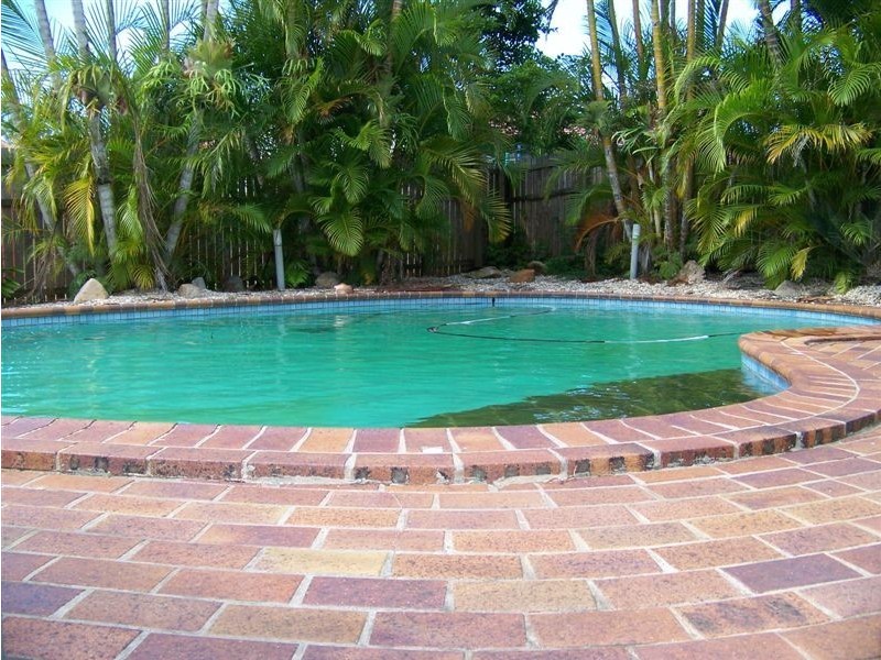 19 Tarwhine Street, Manly West QLD 4179