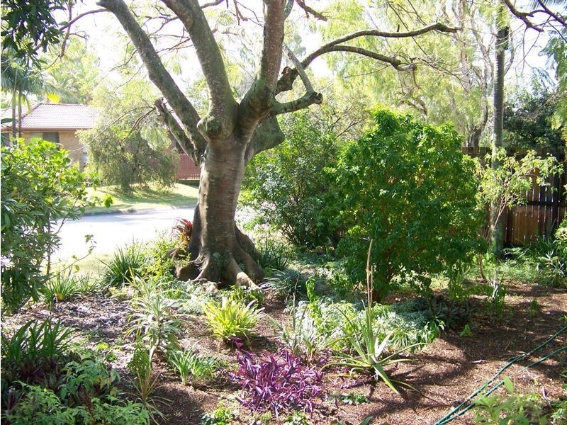 50 Amberjack Street, Manly West QLD 4179