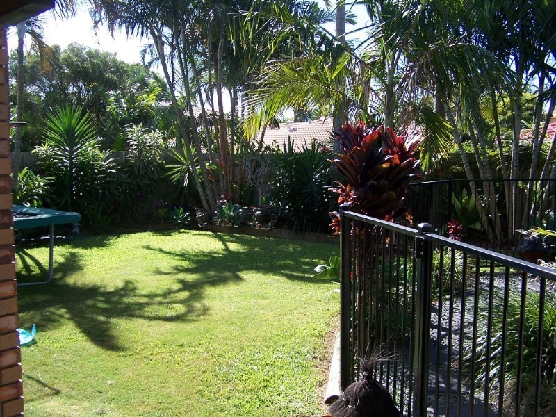 31 Teraglin Street, Manly West QLD 4179