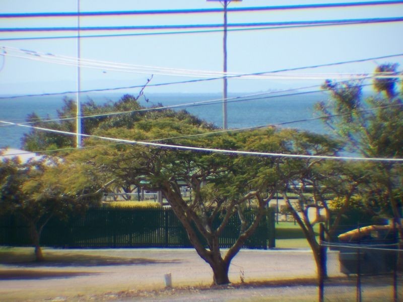 38 Adam Street, Wynnum QLD 4178