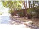 70 Robtrish Street, Manly West QLD 4179