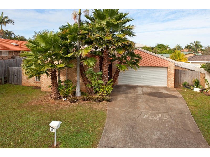36 Trevally Court, Manly West QLD 4179