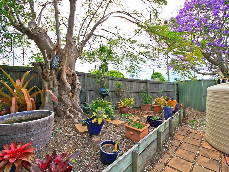 56 Peel Street, Manly QLD 4179