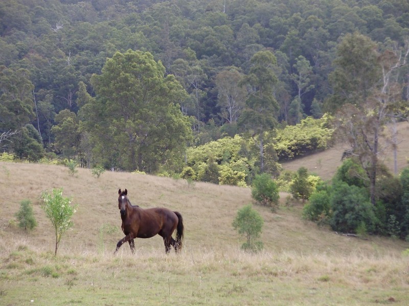 825 North Deep Creek Road, North Deep Creek QLD 4570