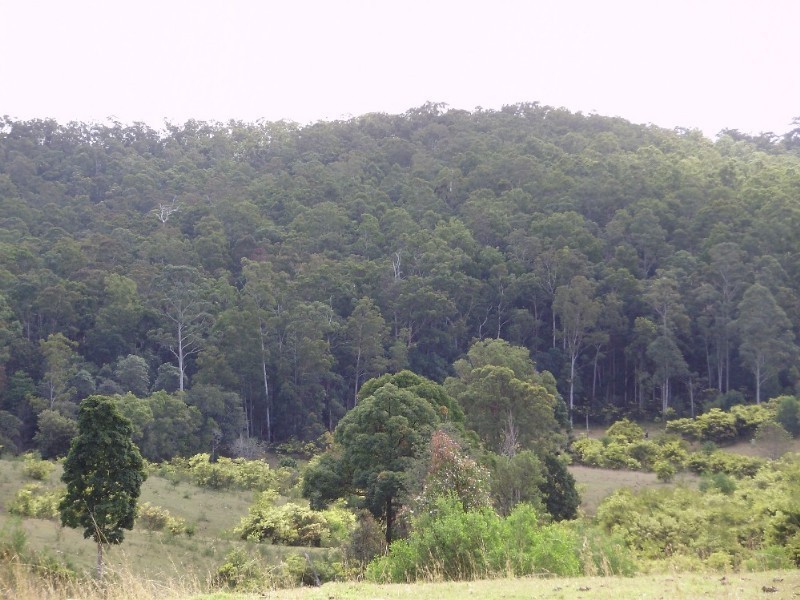 825 North Deep Creek Road, North Deep Creek QLD 4570