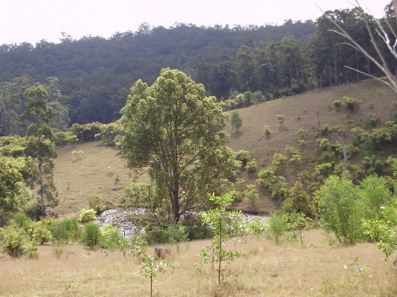 825 North Deep Creek Road, North Deep Creek QLD 4570